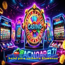 hotel para cachorro blumenau